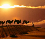 Турмаршрут Астрахань-Элиста введут весной этого года