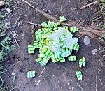 В Астраханской области задержали гражданку Узбекистана с закладкой метадона