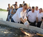 Железнодорожники выпустили в Волгу более двух тысяч мальков краснокнижной севрюги