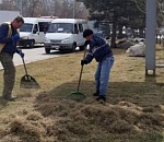 Шесть тысяч деревьев и кустарников высадят в Астрахани