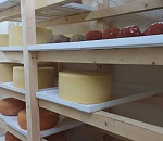 Как астраханец превратил увлечение времен локдауна в семейный бизнес