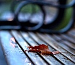 Завтра в Астраханской области ночью немного потеплеет, днем останется в районе +20°