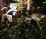 В Астрахани Мерседес на скорости въехал в дерево