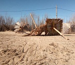 Не дельный обзор. Наступающий год обещает Астрахани желтизну и серость