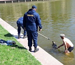 В Астрахани из Лебединого озера спасли собаку и нырнувшего за ней мужчину