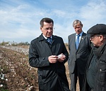 25 миллиардов рублей может принести Астраханской области выращивание хлопка