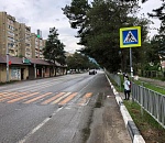 В Астрахани возникли жаркие споры по поводу установки картонных детей на пешеходных переходах