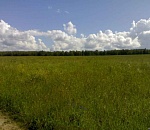 В Астраханской области оштрафовали ленивых фермеров