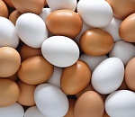 Астраханские птицефабрики выпустили по 410 яиц на каждого жителя региона