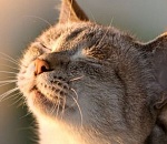 В субботу в Астрахани наконец-то будет лишь легкий ветерок