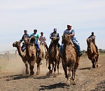 В Астраханской области состоялись уникальные верблюжьи бега