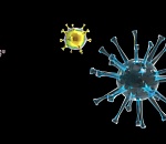 В Астрахани уже четвертый случай заражения коронавирусом COVID-2019