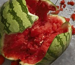 Крах астраханской оппозиции: жесткие взаимные обвинения коммунистов и эсеров