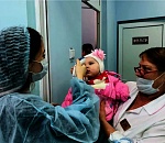 Центры волонтеров «Единой России» подвели итоги первого года работы