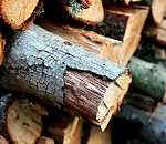 Астраханские следователи раскрыли жестокое убийство