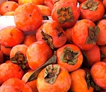 В Астраханской области обнаружили карантинный объект в партии хурмы из Узбекистана и… пропустили товар на продажу