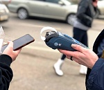 После очередного дорожного рейда астраханские приставы арестовали 9 машин