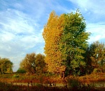 В астраханских лесах завершился пожароопасный сезон