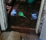 В Астрахани семья с пятью детьми живет в затопленном доме