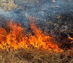 Пожар на Городском острове в Астрахани тушат уже 6 часов