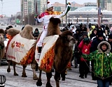 В Астрахани олимпийский огонь будут возить на чунках, верблюдах, в карете и с эскортом казаков