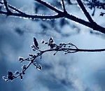 Сегодня астраханцев ждет самая холодная ночь