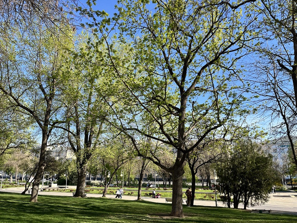 Опять 25: завтра в Астраханской области будет тепло