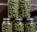 Пошел под суд запасливый астраханец, делающий заготовки на зиму