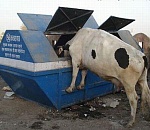 Астраханский трэш. Часть 2: «Тарифная перестройка»