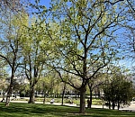 Опять 25: завтра в Астраханской области будет тепло