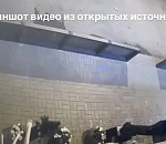 Астраханку, своровавшую саженцы у частной клиники, вычислили по записи с камер