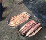 На рынке "Селенские Исады" в Астрахани продавали браконьерскую рыбу