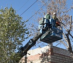 Астрахань повсеместно избавляют от аварийных деревьев