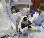 Стало известно, как обнаружить COVID-19 до первых симптомов