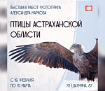 В астраханской библиотеке поселились крылатые и пернатые