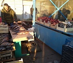 В Астрахани правоохранительные органы нагрянули на рынки с проверками