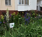 На конкурс «Сами садик мы садили» уже подано более 80 заявок