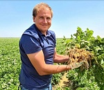 ЕР может расширить народную программу поддержкой сельчан