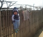 Креатив по–астрахански: чтобы получить новый забор, заставь людей полюбить старый