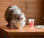 Семь астраханских руководителей попались на превышении зарплат