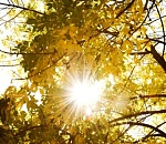 Четверг в Астраханской области будет с утра туманным, а днем – облачным и теплым