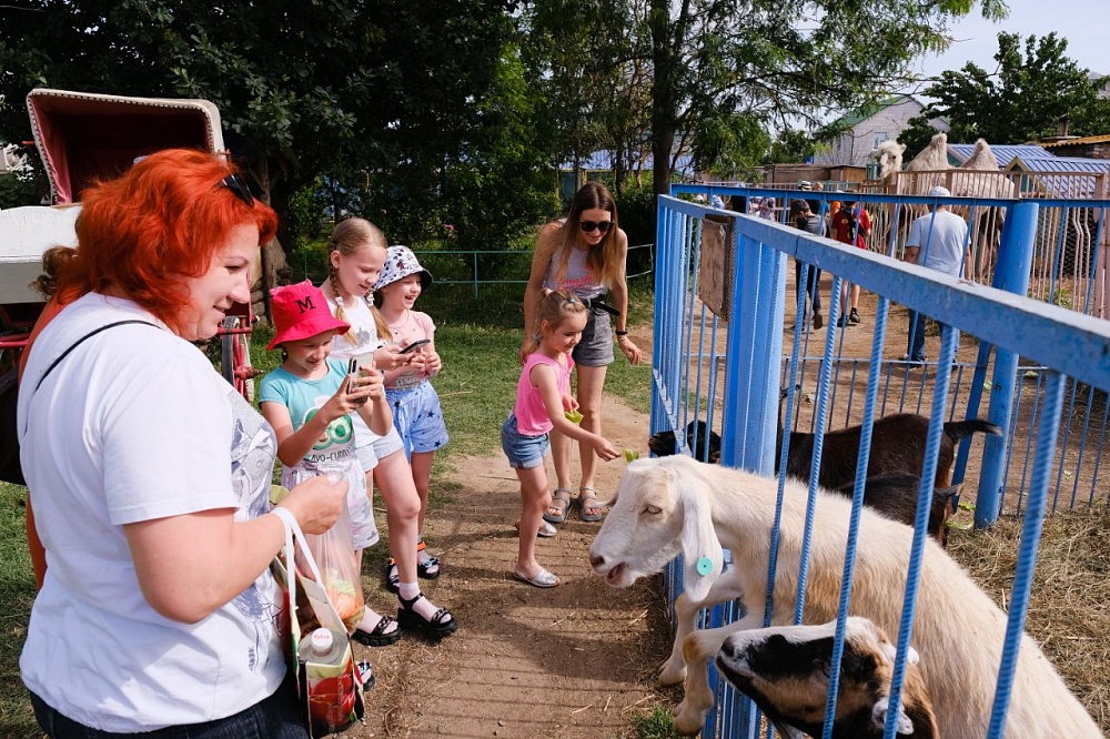 В Астрахани проходит Всероссийский экологический фестиваль