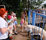 В Астрахани проходит Всероссийский экологический фестиваль