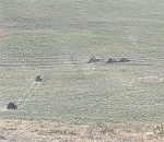 В астраханском заповеднике зафиксировали акт эковандализма