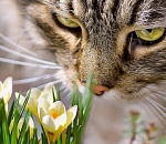 В воскресенье в Астрахани будет очень тепло, но ветрено