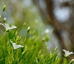 Астраханцев ждет прохладный вторник