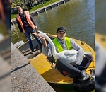 Астраханские лебеди отправились на зимние каникулы