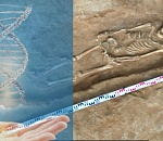 Ученые-генетики расшифруют ДНК древних хазар и сарматов астраханского края