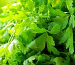 Зелень не получила зеленый свет на астраханской границе