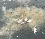 Полный перечень астраханских зимовальных ям